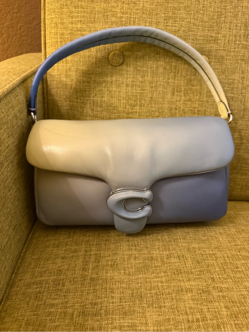 Coach Pillow Tabby Ombré